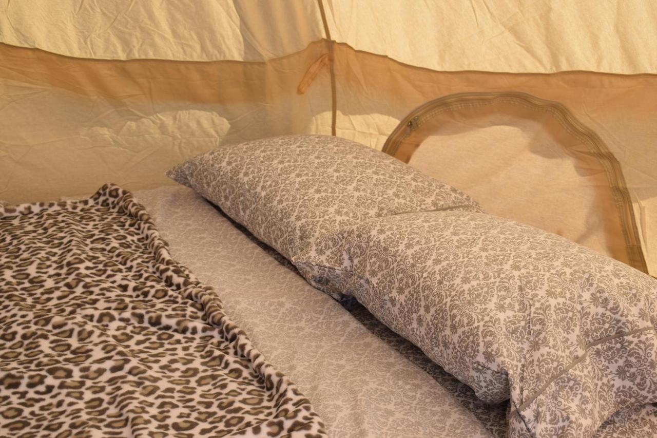 Starlight Tent 3 Holbrook Buitenkant foto